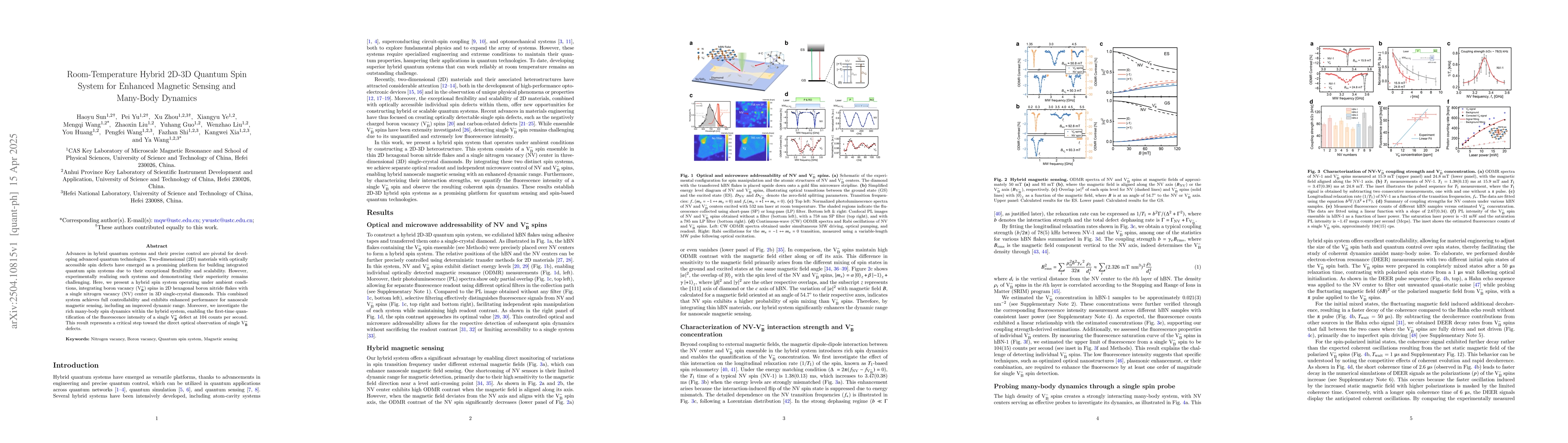 Thumbnail for Room-Temperature Hybrid 2D-3D Quantum Spin System for Enhanced Magnetic
  Sensing and Many-Body Dynamics