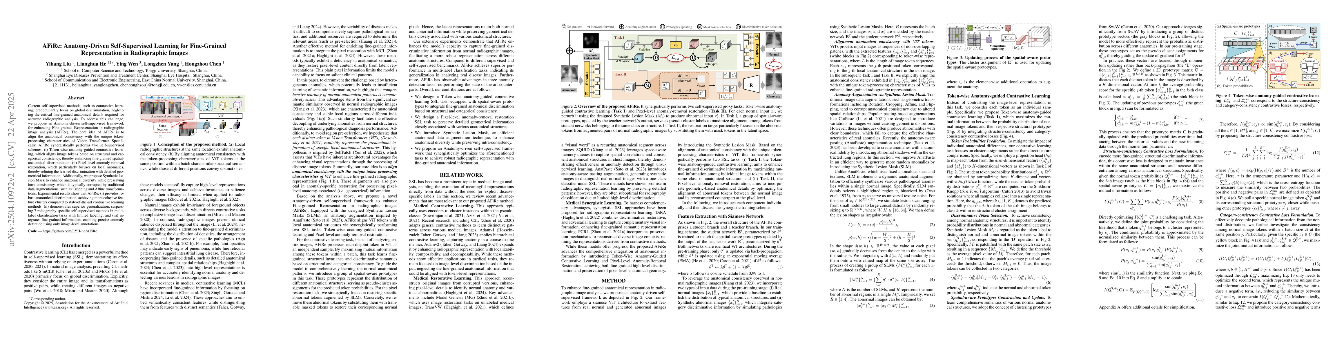 Thumbnail for AFiRe: Anatomy-Driven Self-Supervised Learning for Fine-Grained
  Representation in Radiographic Images