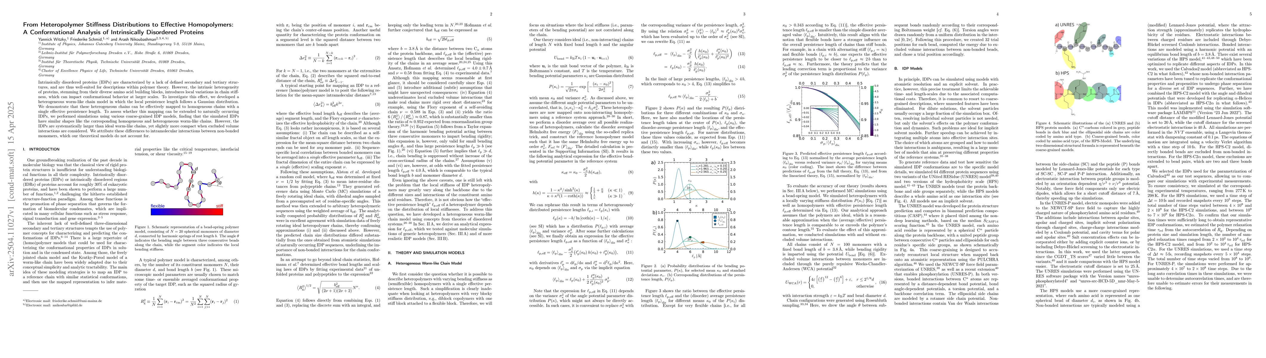 Thumbnail for From Heteropolymer Stiffness Distributions to Effective Homopolymers: A
  Conformational Analysis of Intrinsically Disordered Proteins