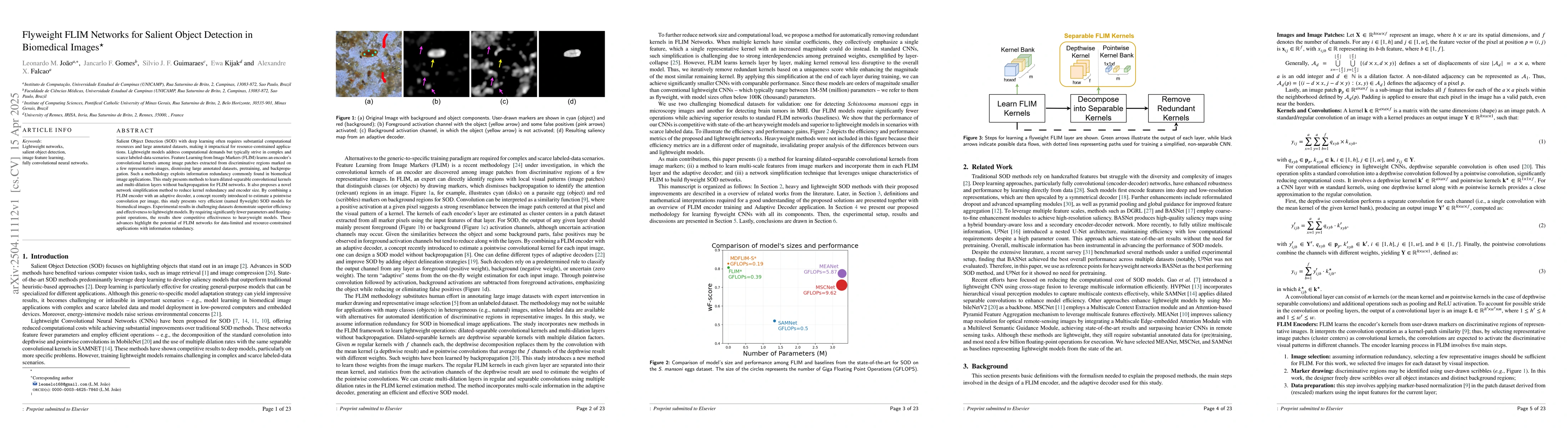 Thumbnail for Flyweight FLIM Networks for Salient Object Detection in Biomedical
  Images