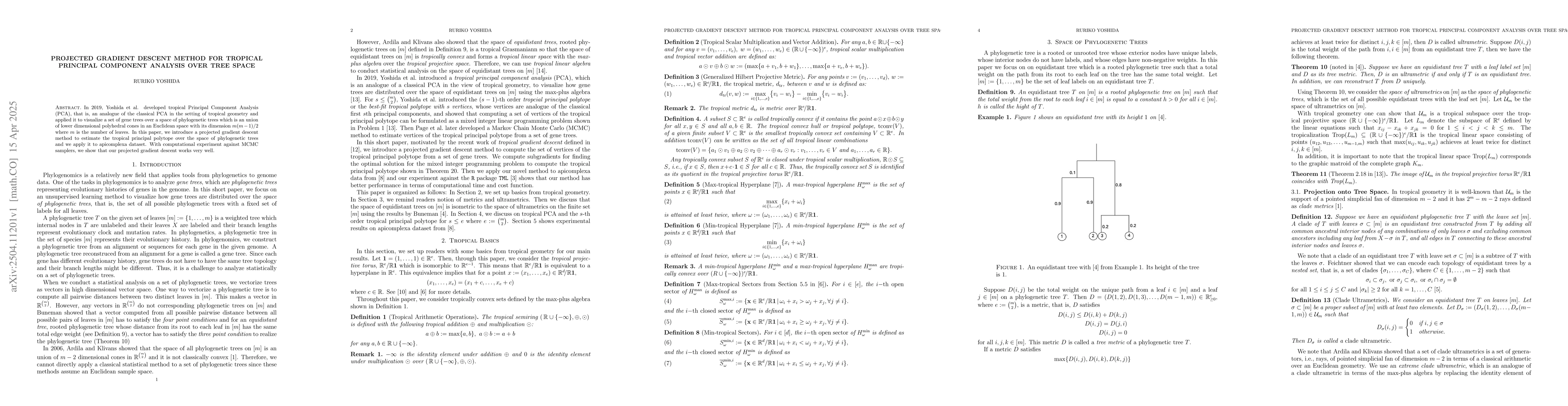 Thumbnail for Projected Gradient Descent Method for Tropical Principal Component
  Analysis over Tree Space