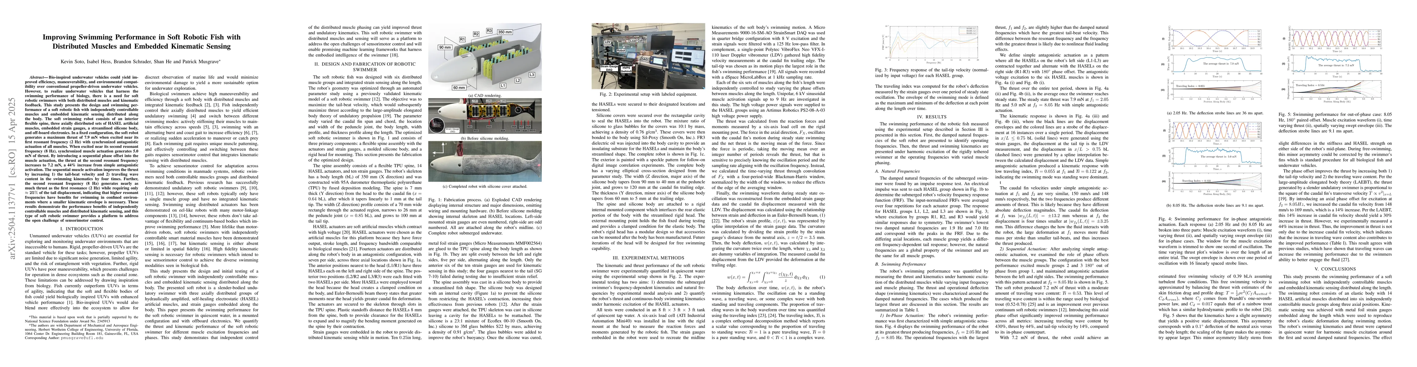 Thumbnail for Improving Swimming Performance in Soft Robotic Fish with Distributed
  Muscles and Embedded Kinematic Sensing