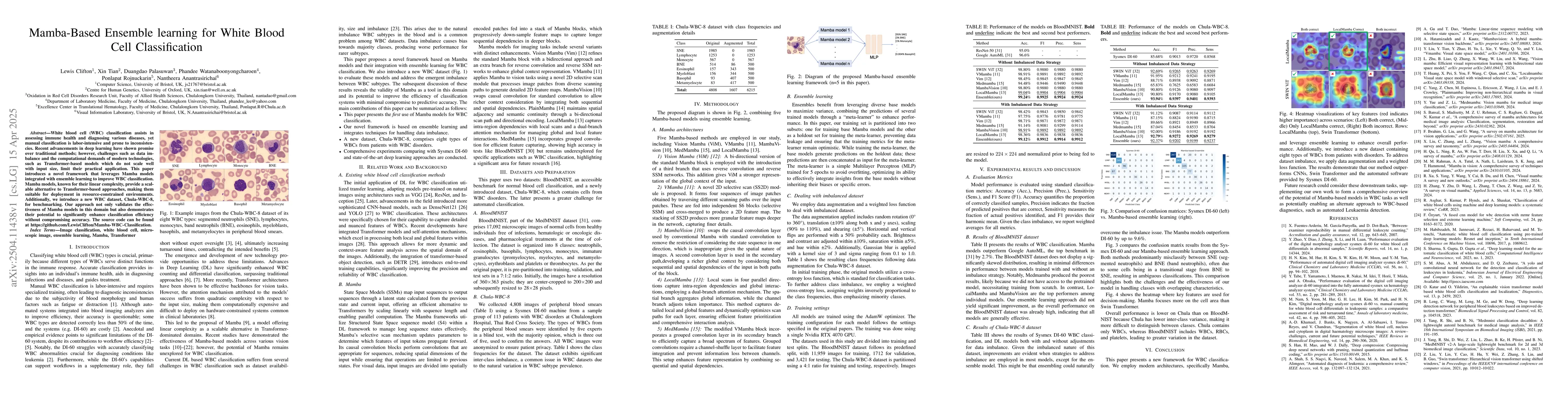 Thumbnail for Mamba-Based Ensemble learning for White Blood Cell Classification