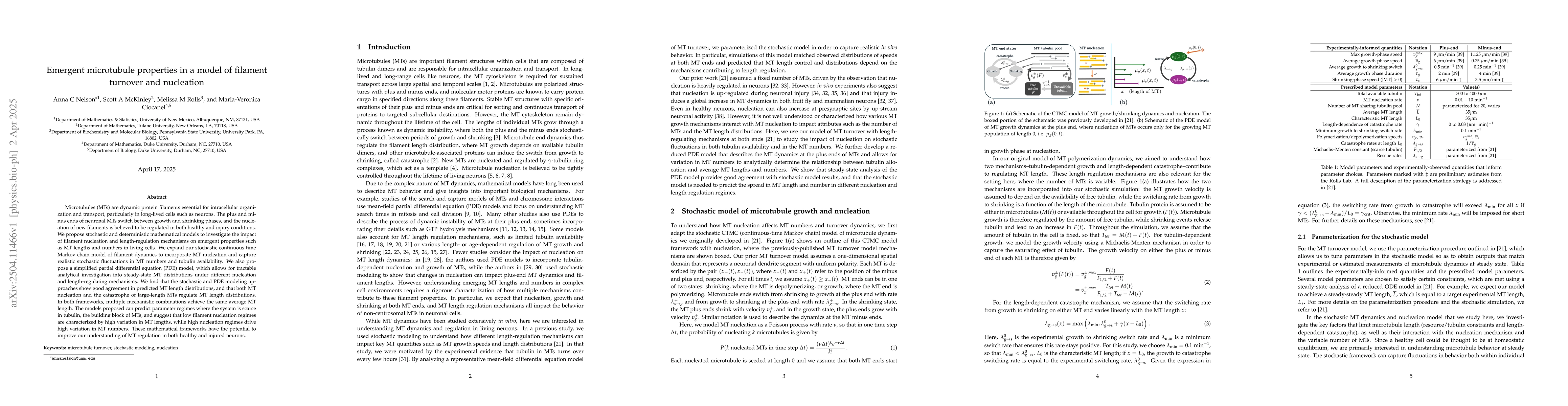 Thumbnail for Emergent microtubule properties in a model of filament turnover and
  nucleation