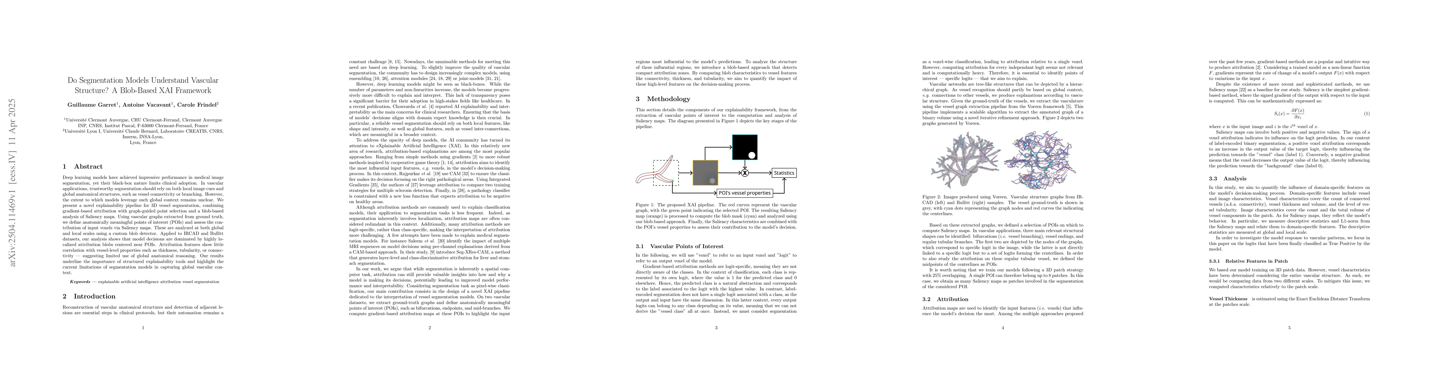 Thumbnail for Do Segmentation Models Understand Vascular Structure? A Blob-Based XAI
  Framework