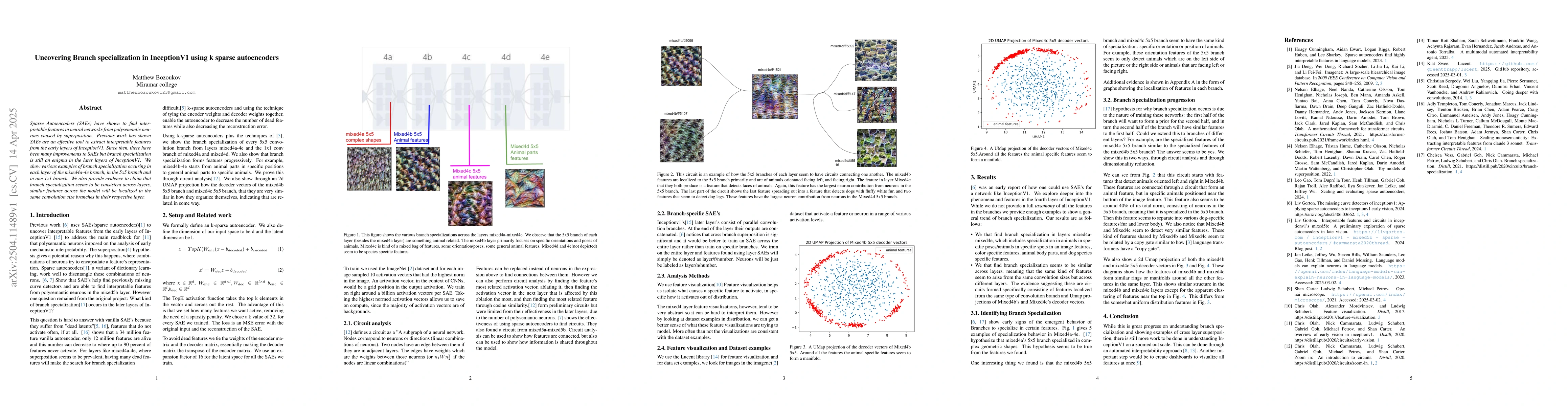 Thumbnail for Uncovering Branch specialization in InceptionV1 using k sparse
  autoencoders