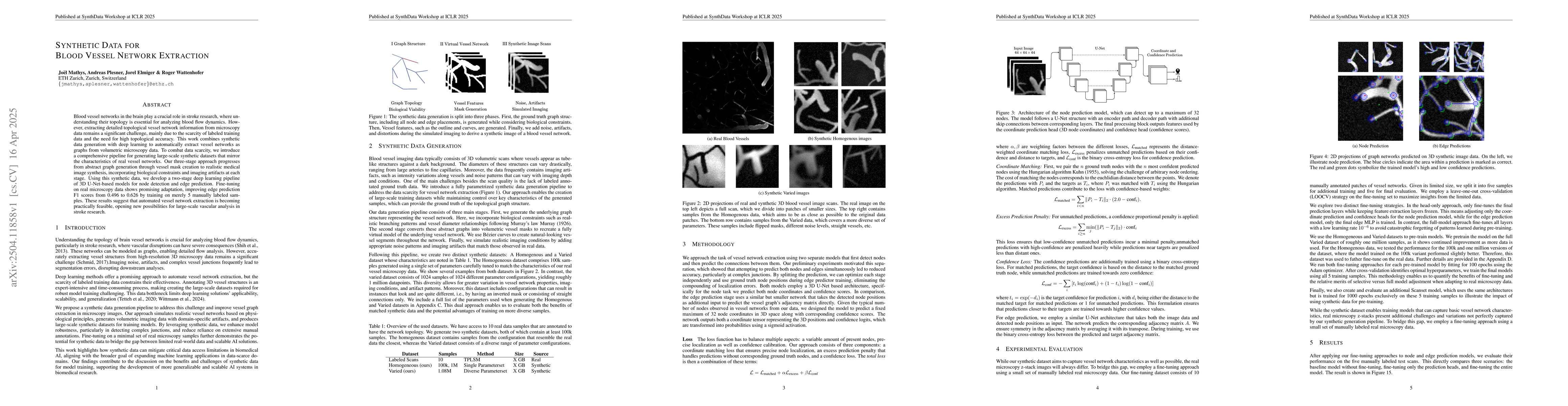 Thumbnail for Synthetic Data for Blood Vessel Network Extraction