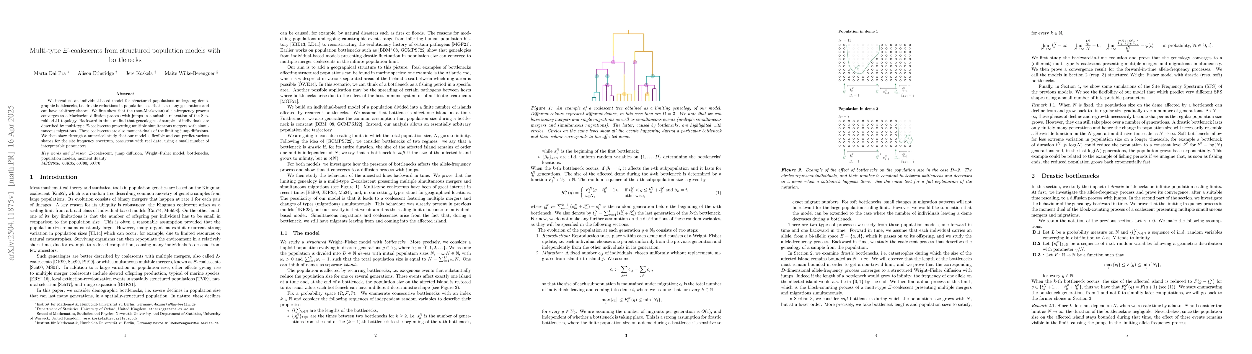 Thumbnail for Multi-type $Ξ$-coalescents from structured population models with
  bottlenecks