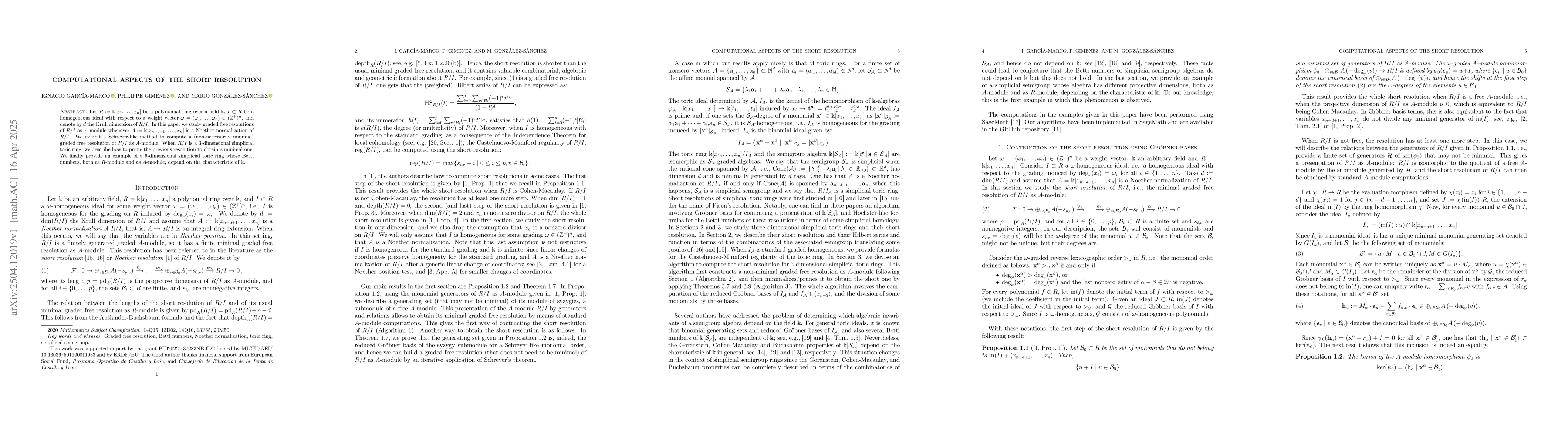 Thumbnail for Computational Aspects of the Short Resolution