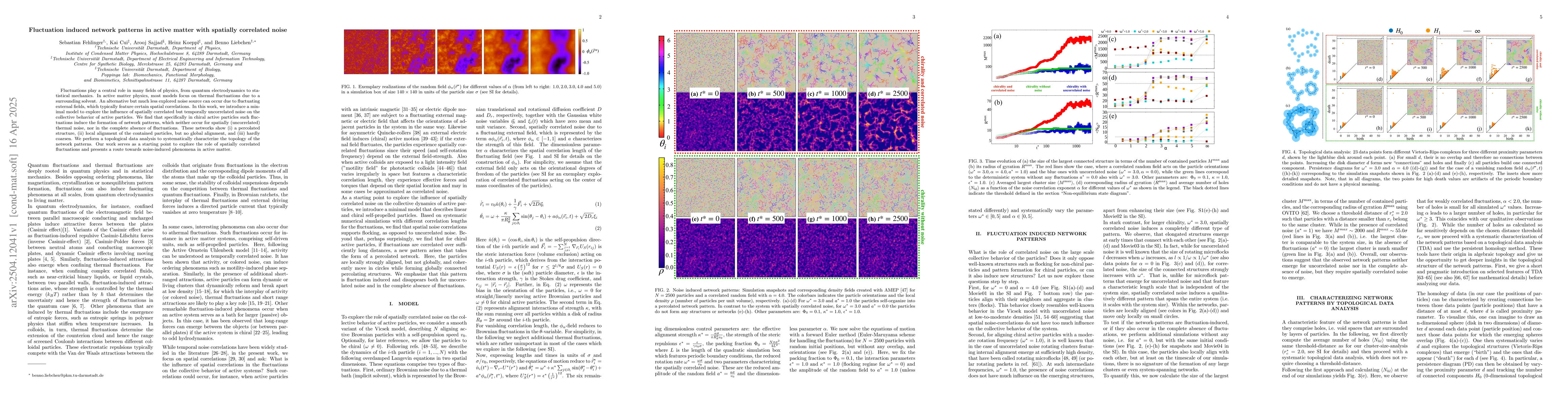 Thumbnail for Fluctuation induced network patterns in active matter with spatially
  correlated noise
