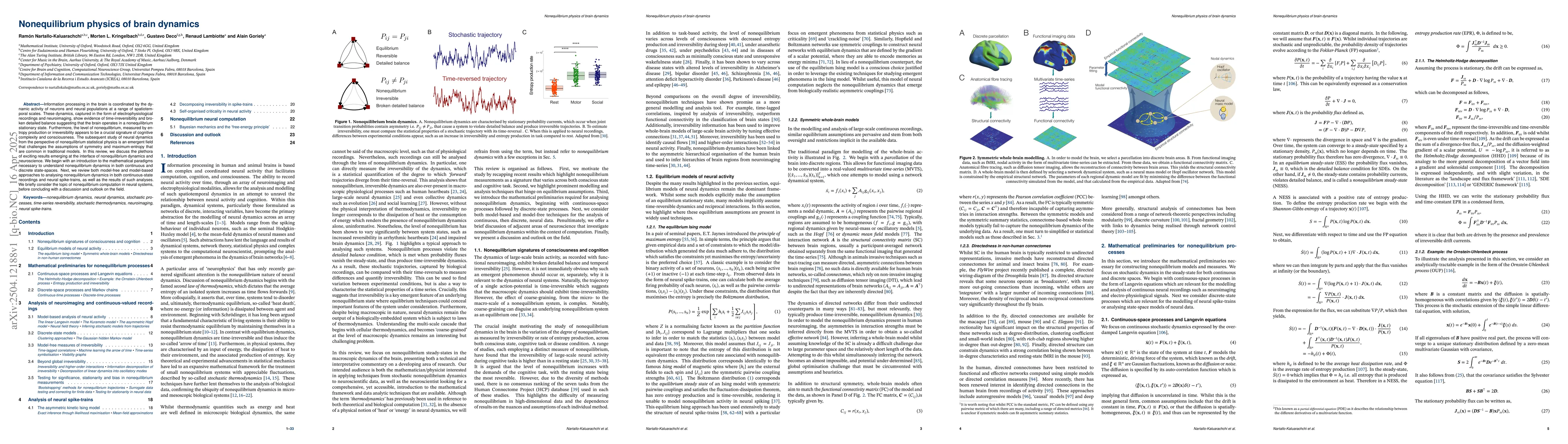 Thumbnail for Nonequilibrium physics of brain dynamics