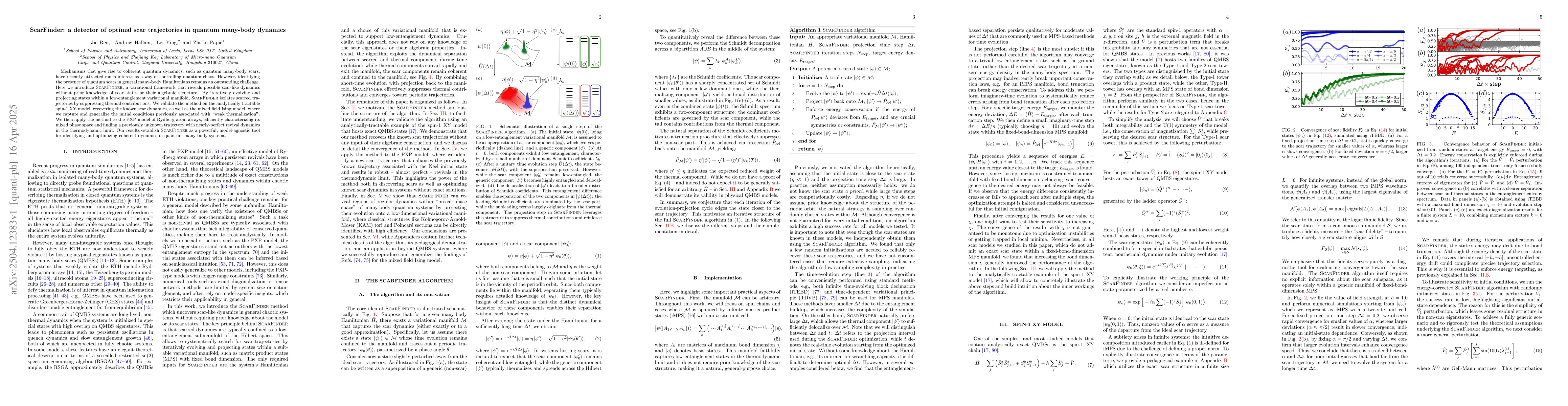 Thumbnail for ScarFinder: a detector of optimal scar trajectories in quantum many-body
  dynamics
