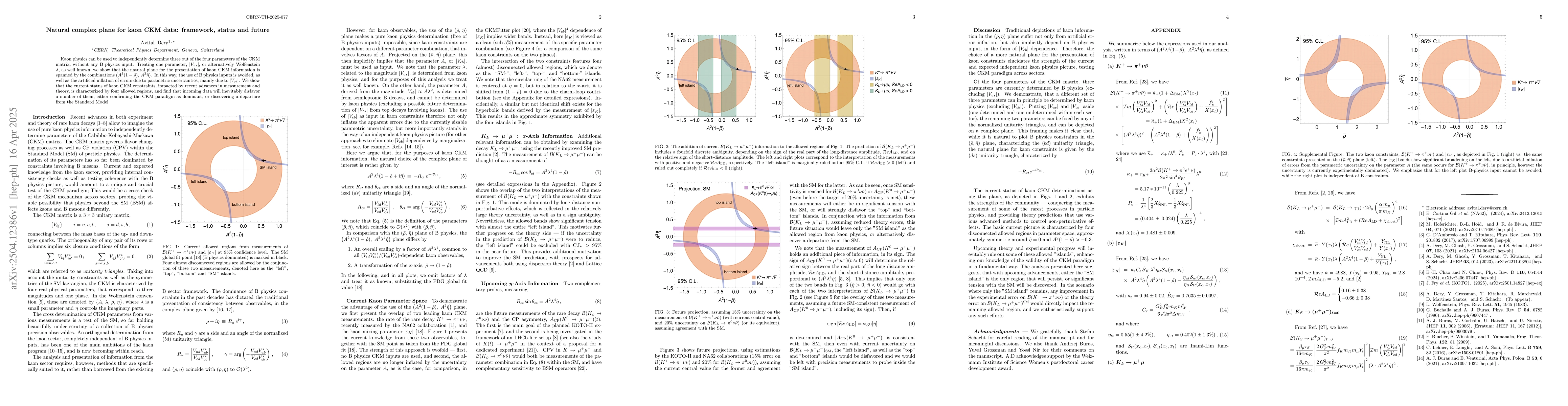 Thumbnail for Natural complex plane for kaon CKM data: framework, status and future