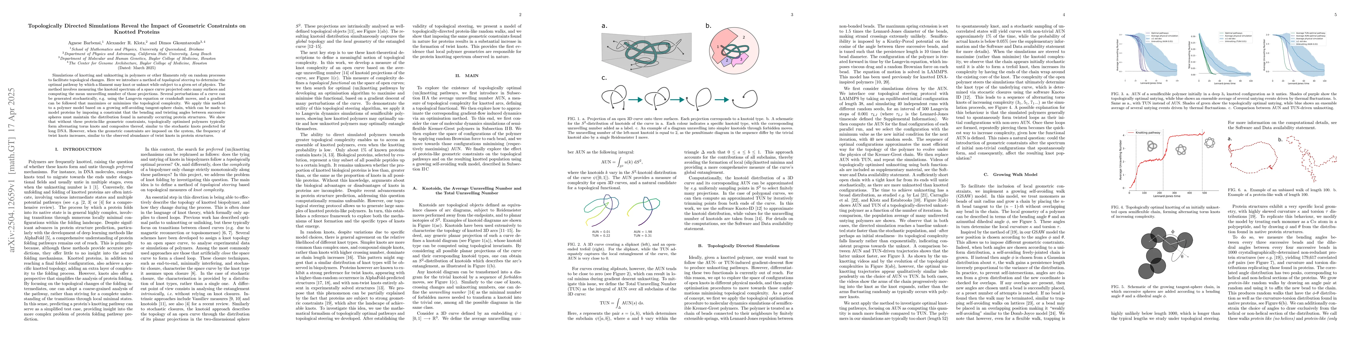 Thumbnail for Topologically Directed Simulations Reveal the Impact of Geometric
  Constraints on Knotted Proteins