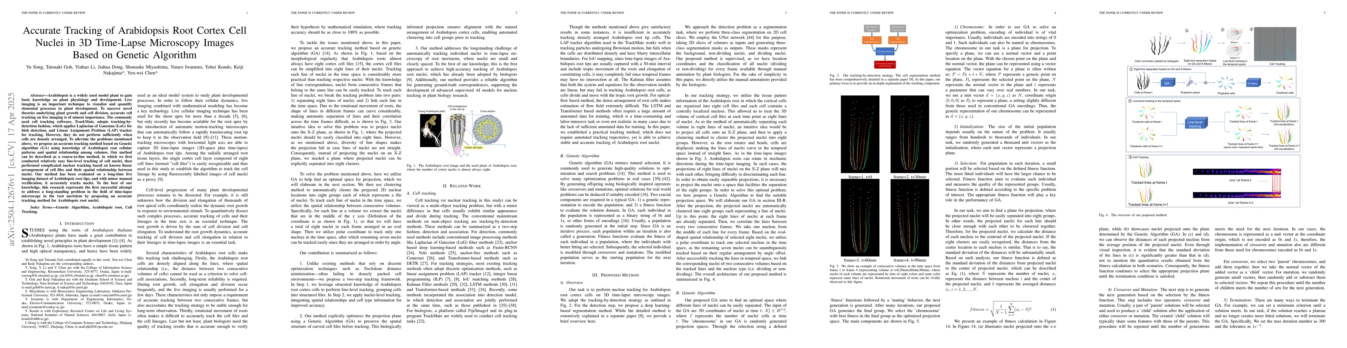 Thumbnail for Accurate Tracking of Arabidopsis Root Cortex Cell Nuclei in 3D
  Time-Lapse Microscopy Images Based on Genetic Algorithm