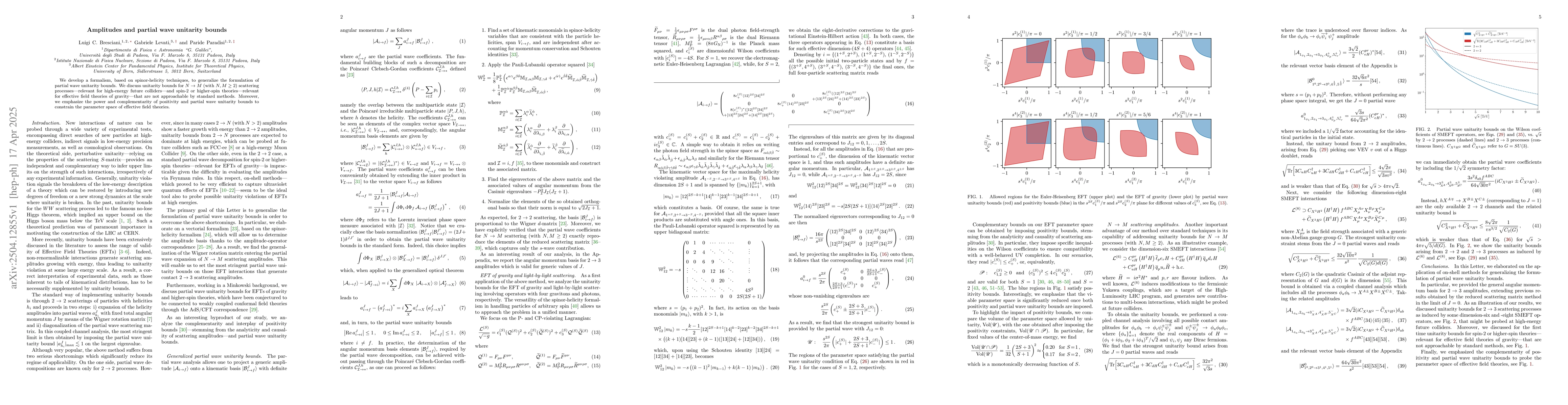 Thumbnail for Amplitudes and partial wave unitarity bounds