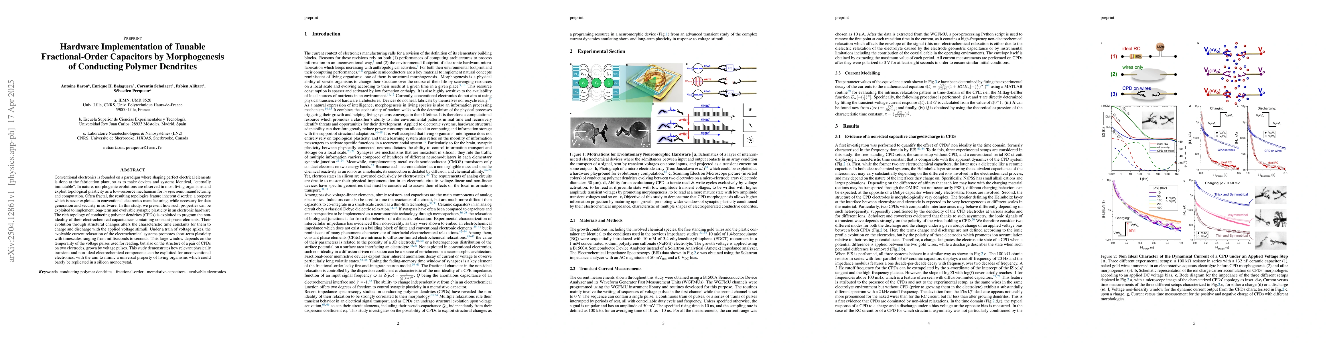 Thumbnail for Hardware Implementation of Tunable Fractional-Order Capacitors by
  Morphogenesis of Conducting Polymer Dendrites