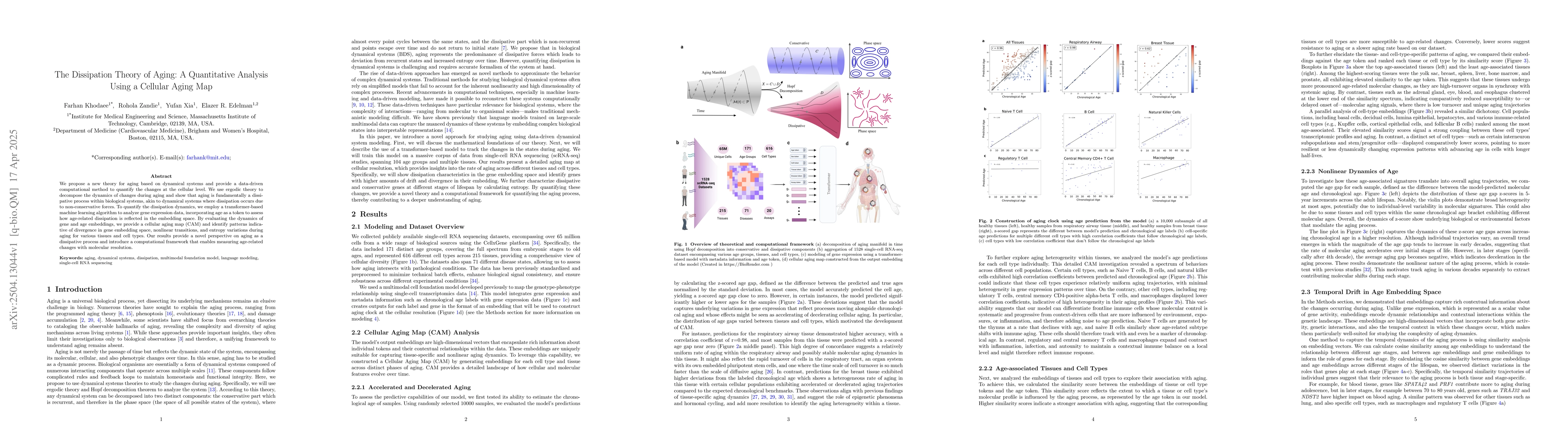 Thumbnail for The Dissipation Theory of Aging: A Quantitative Analysis Using a
  Cellular Aging Map