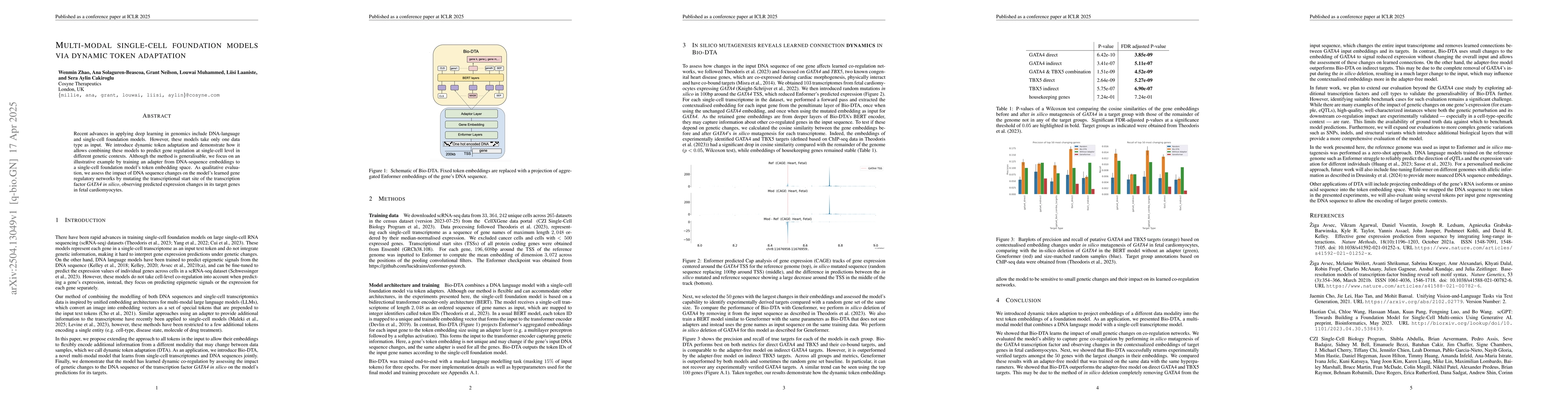 Thumbnail for Multi-modal single-cell foundation models via dynamic token adaptation