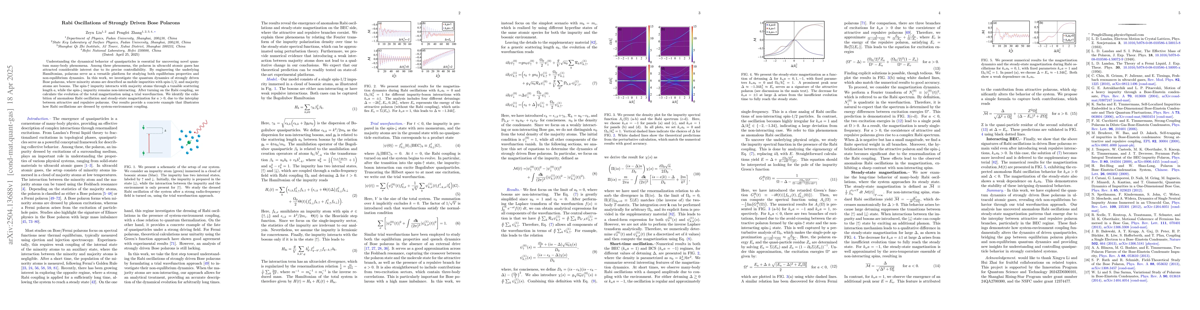 Thumbnail for Rabi Oscillations of Strongly Driven Bose Polarons