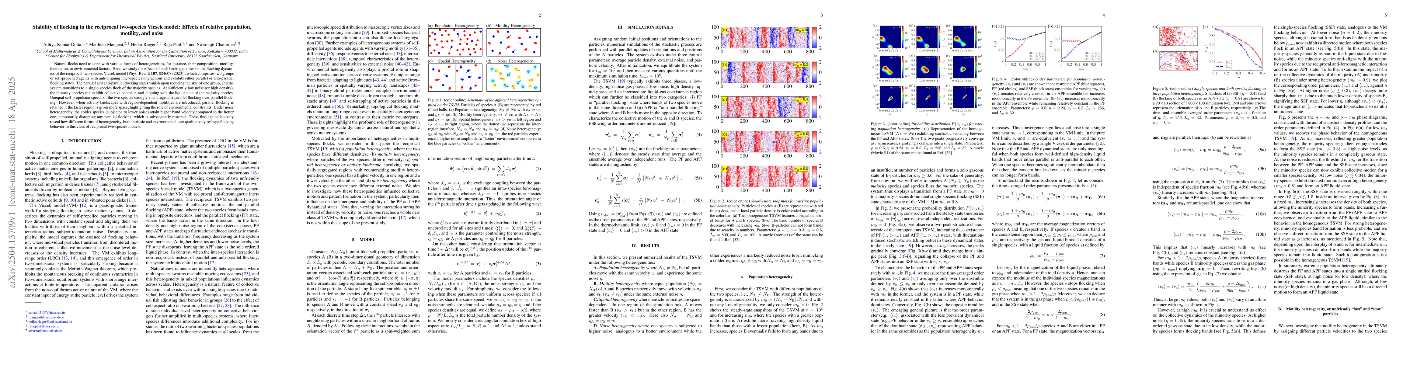 Thumbnail for Stability of flocking in the reciprocal two-species Vicsek model:
  Effects of relative population, motility, and noise