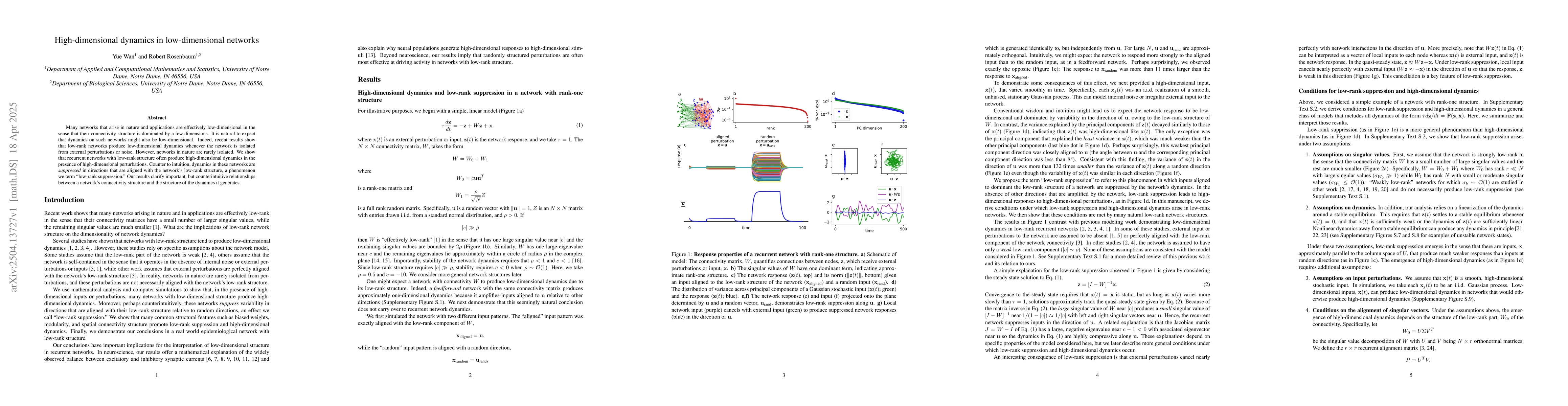 Thumbnail for High-dimensional dynamics in low-dimensional networks