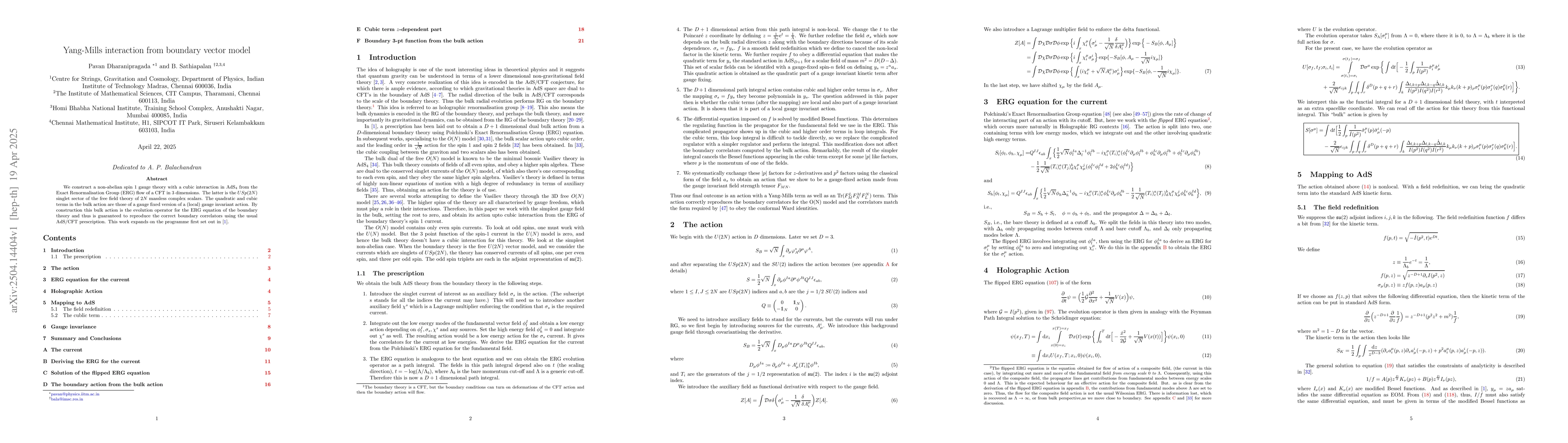 Thumbnail for Yang-Mills interaction from boundary vector model