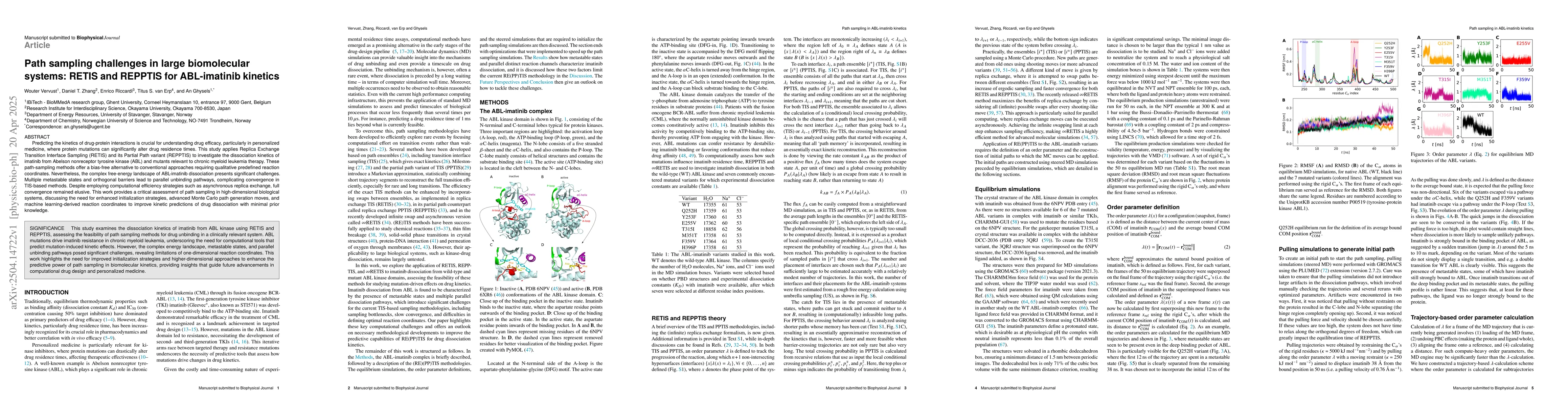 Thumbnail for Path sampling challenges in large biomolecular systems: RETIS and
  REPPTIS for ABL-imatinib kinetics