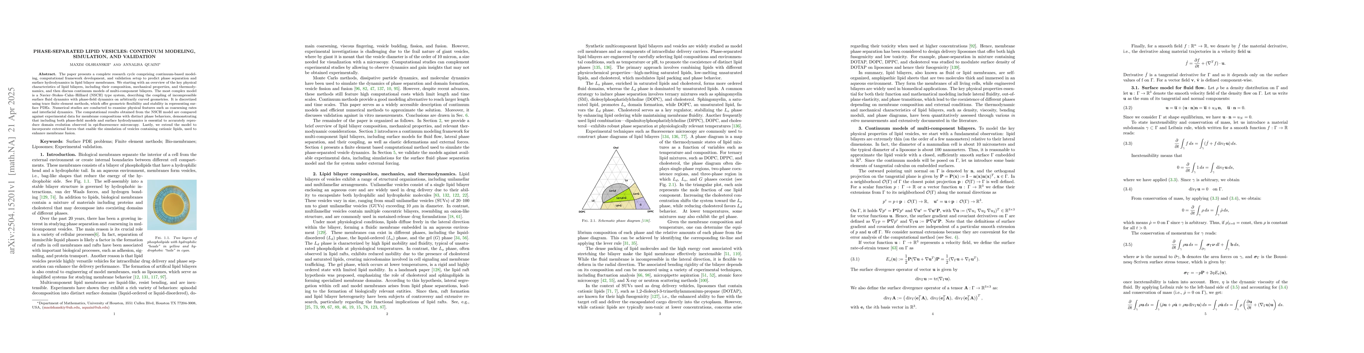 Thumbnail for Phase-separated lipid vesicles: continuum modeling, simulation, and
  validation