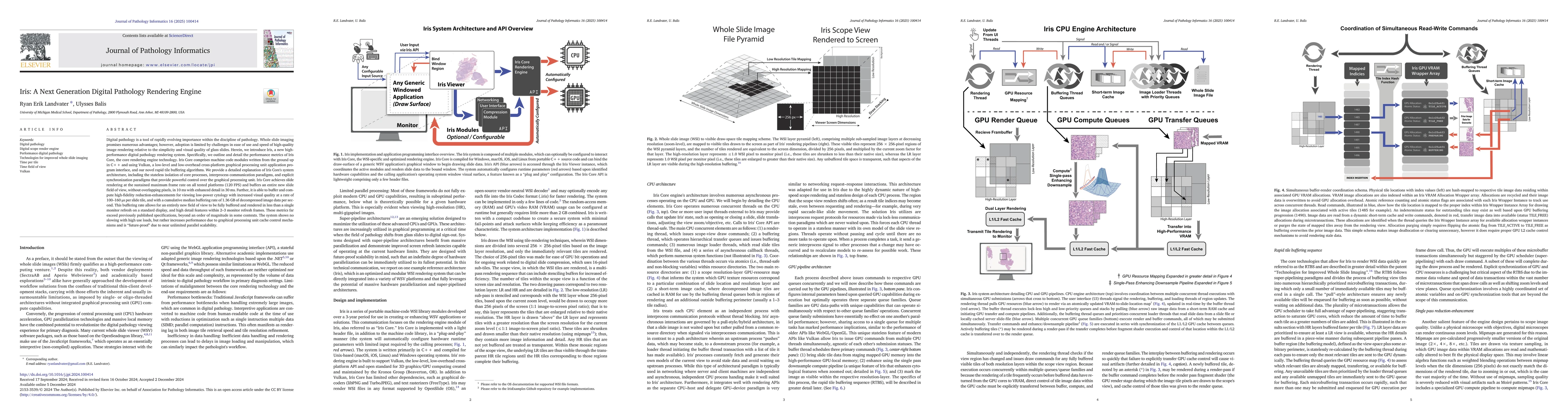 Thumbnail for Iris: A Next Generation Digital Pathology Rendering Engine