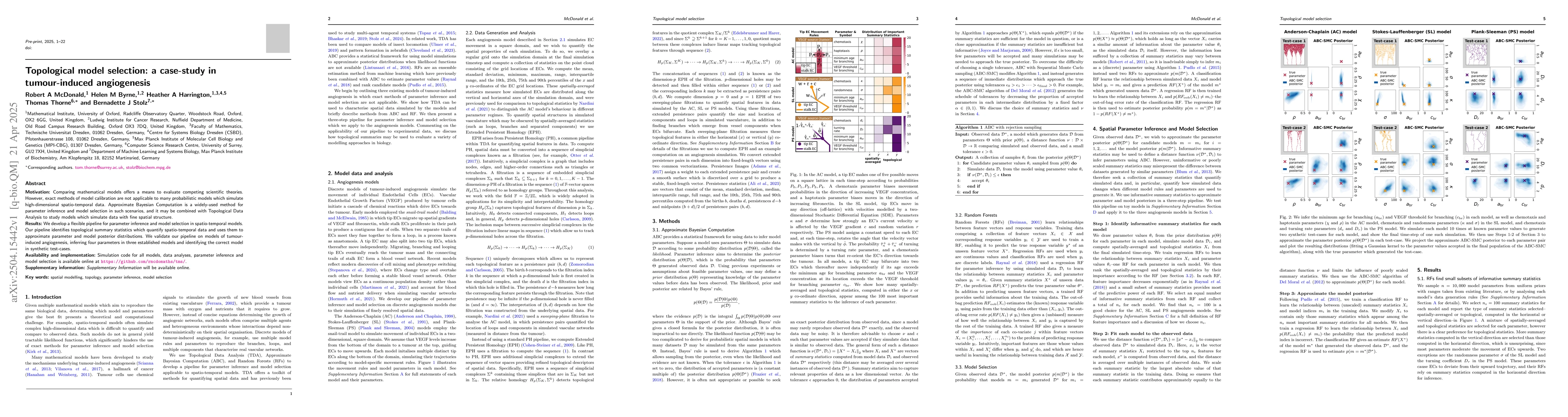 Thumbnail for Topological model selection: a case-study in tumour-induced angiogenesis
