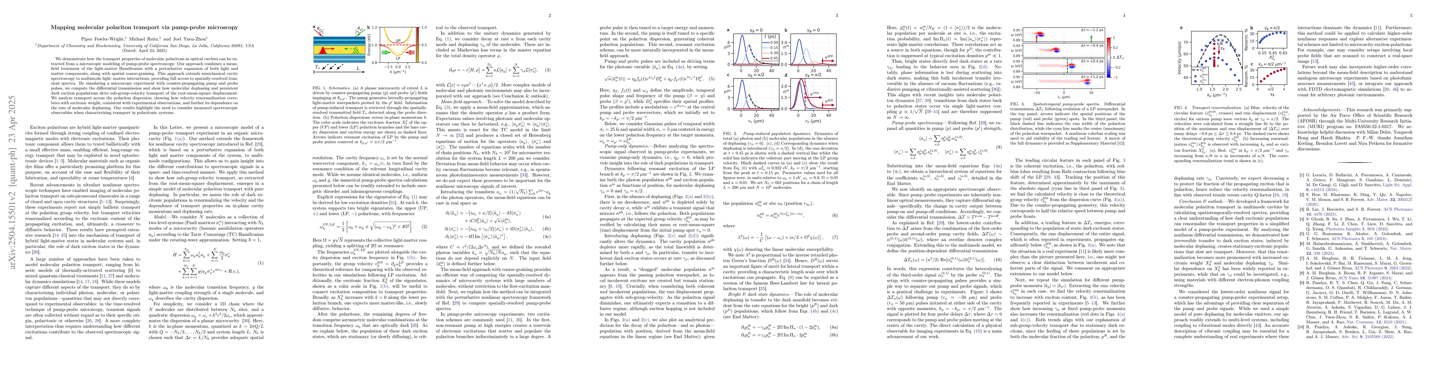 Thumbnail for Mapping molecular polariton transport via pump-probe microscopy