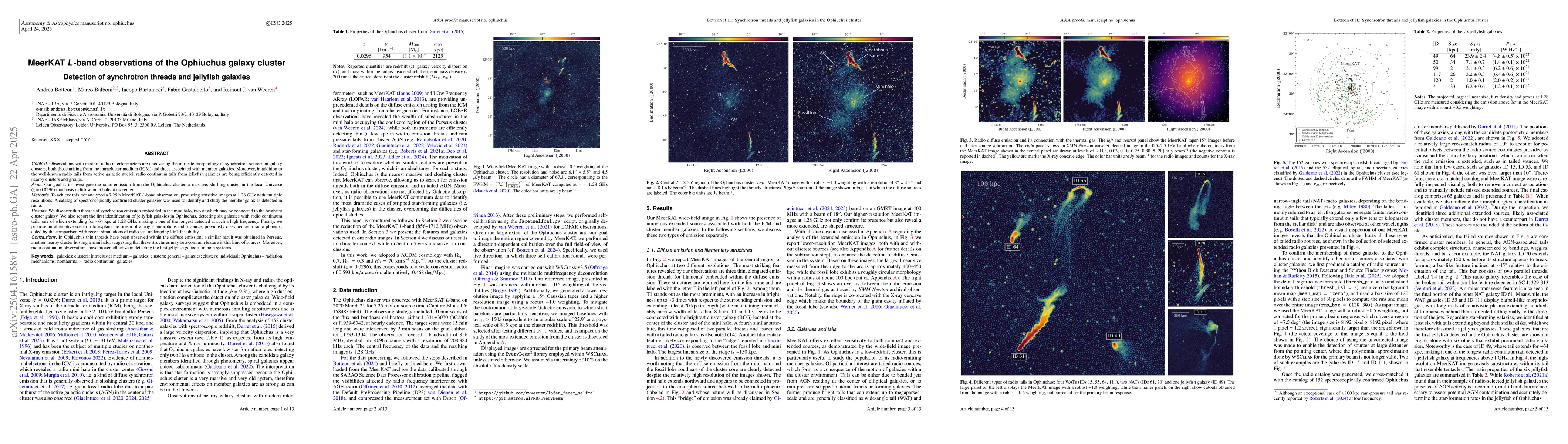 Thumbnail for MeerKAT L-band observations of the Ophiuchus galaxy cluster. Detection
  of synchrotron threads and jellyfish galaxies