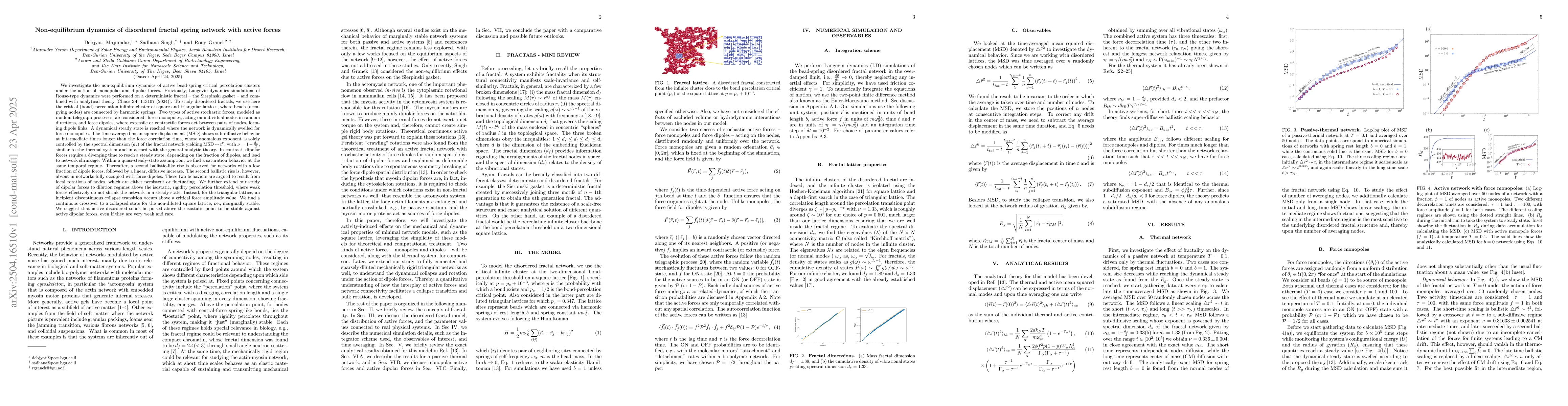 Thumbnail for Non-equilibrium dynamics of disordered fractal spring network with
  active forces