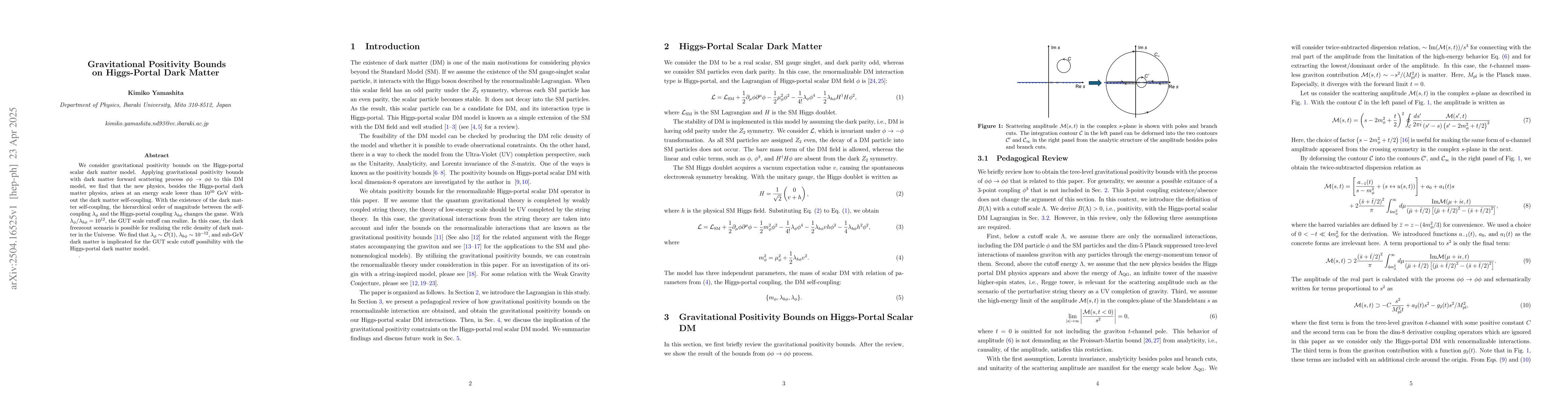 Thumbnail for Gravitational Positivity Bounds on Higgs-Portal Dark Matter