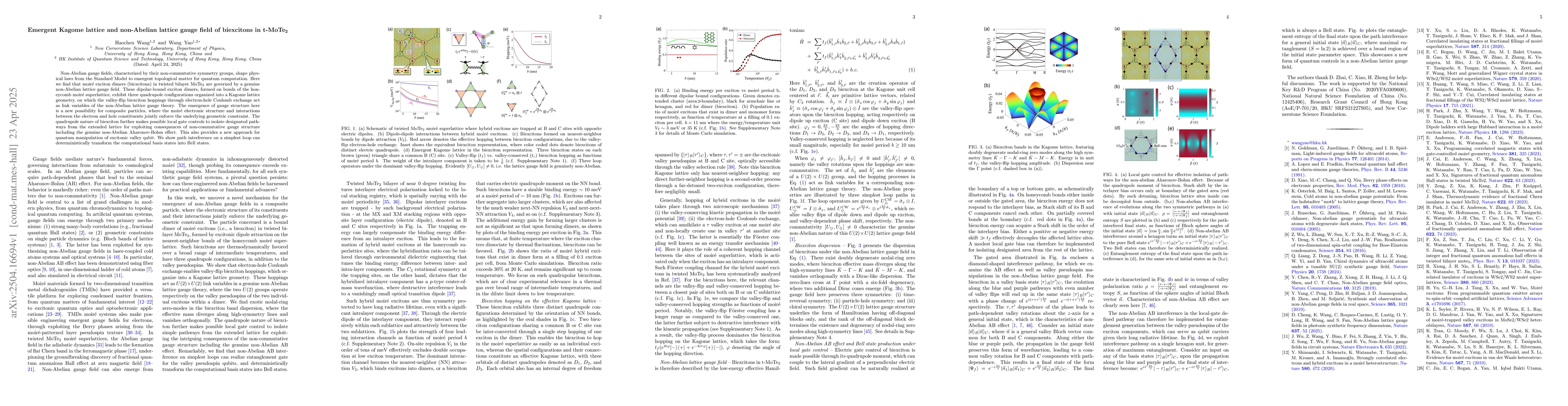 Thumbnail for Emergent Kagome lattice and non-Abelian lattice gauge field of
  biexcitons in t-MoTe$_2$