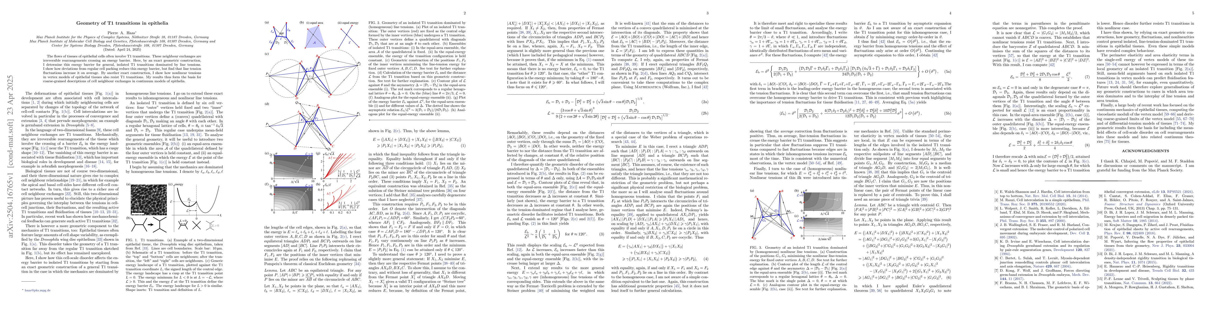 Thumbnail for Geometry of T1 transitions in epithelia