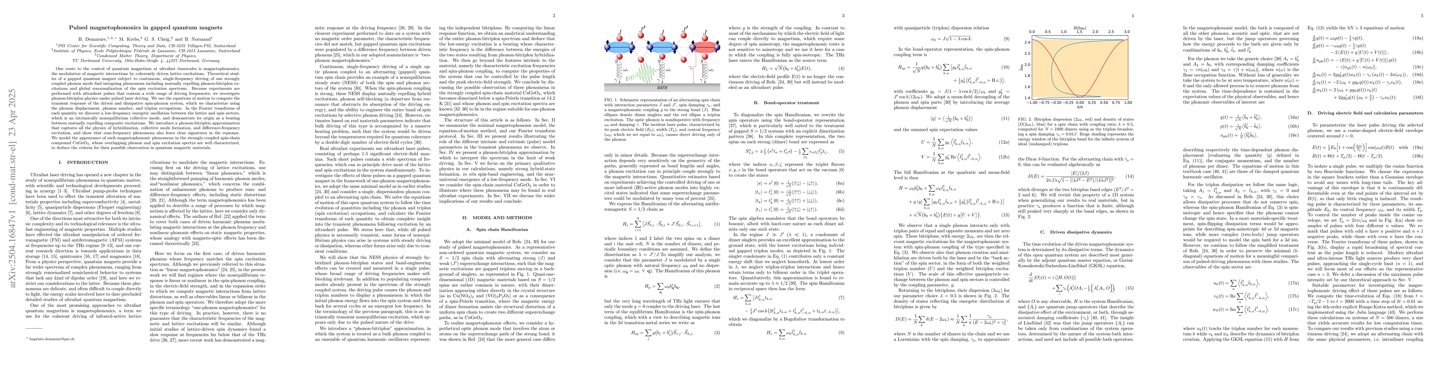 Thumbnail for Pulsed Magnetophononics in Gapped Quantum Magnets