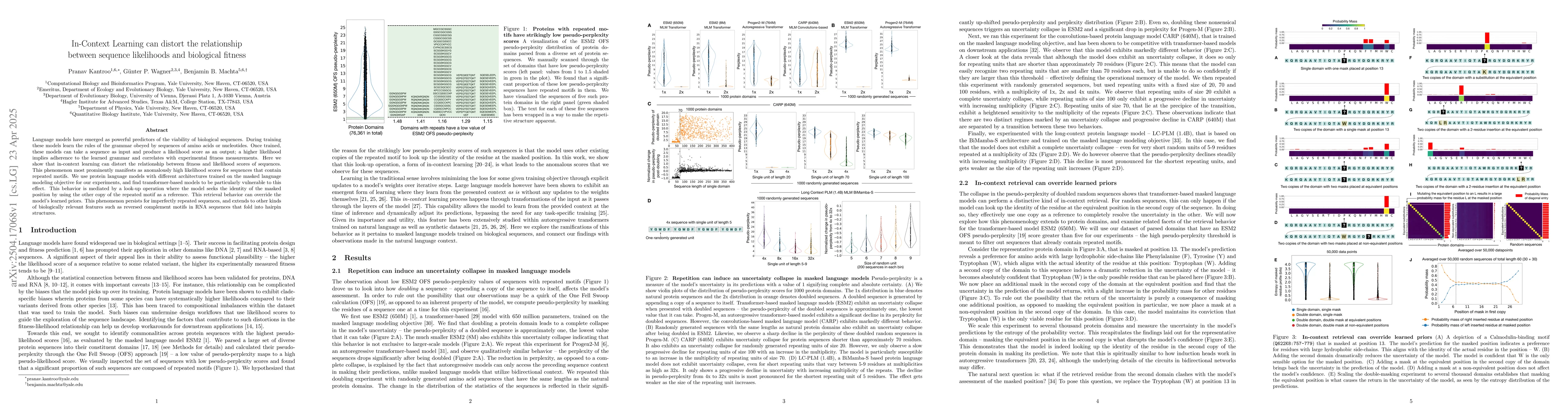 Thumbnail for In-Context Learning can distort the relationship between sequence
  likelihoods and biological fitness