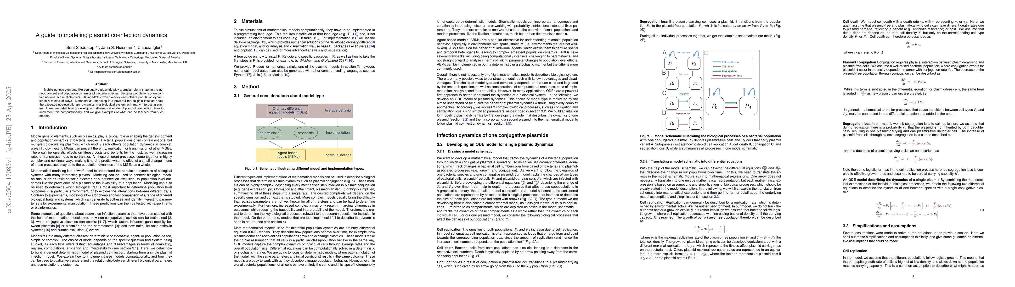 Thumbnail for A guide to modeling plasmid co-infection dynamics