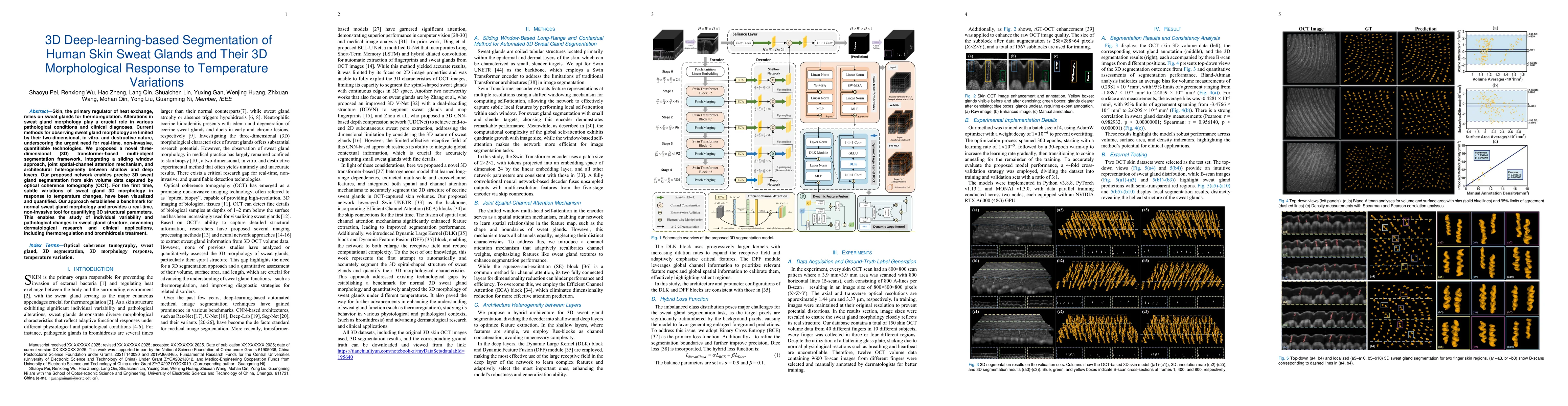 Thumbnail for 3D Deep-learning-based Segmentation of Human Skin Sweat Glands and Their
  3D Morphological Response to Temperature Variations