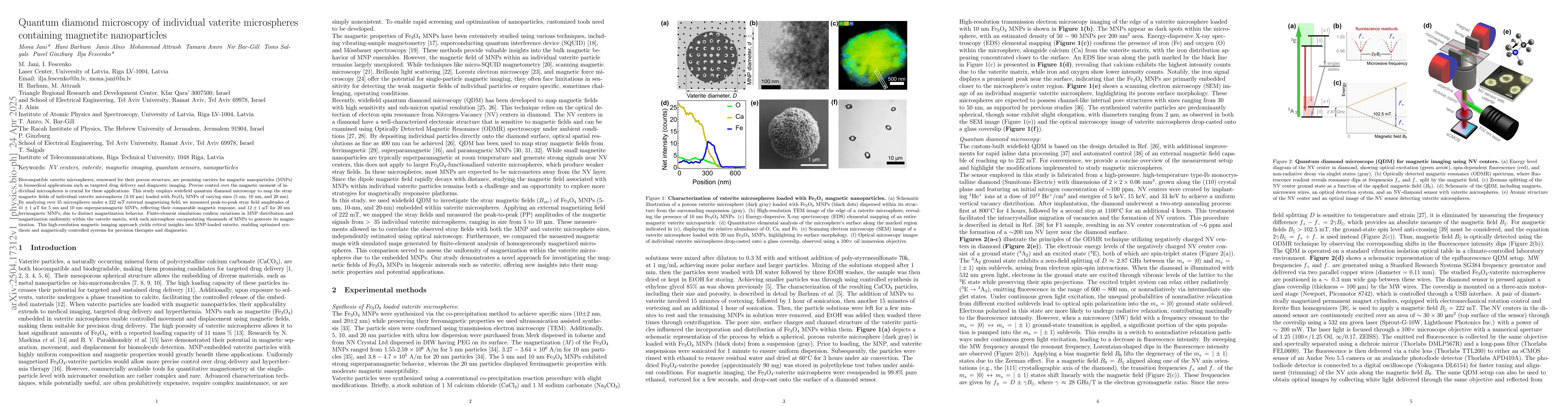 Thumbnail for Quantum diamond microscopy of individual vaterite microspheres
  containing magnetite nanoparticles