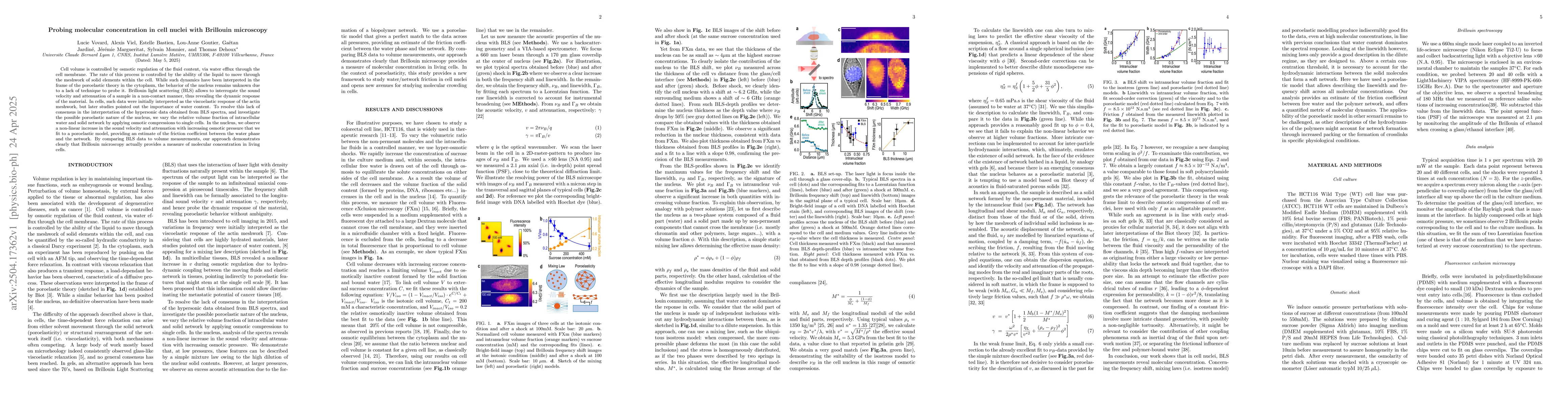 Thumbnail for Probing molecular concentration in cell nuclei with Brillouin microscopy