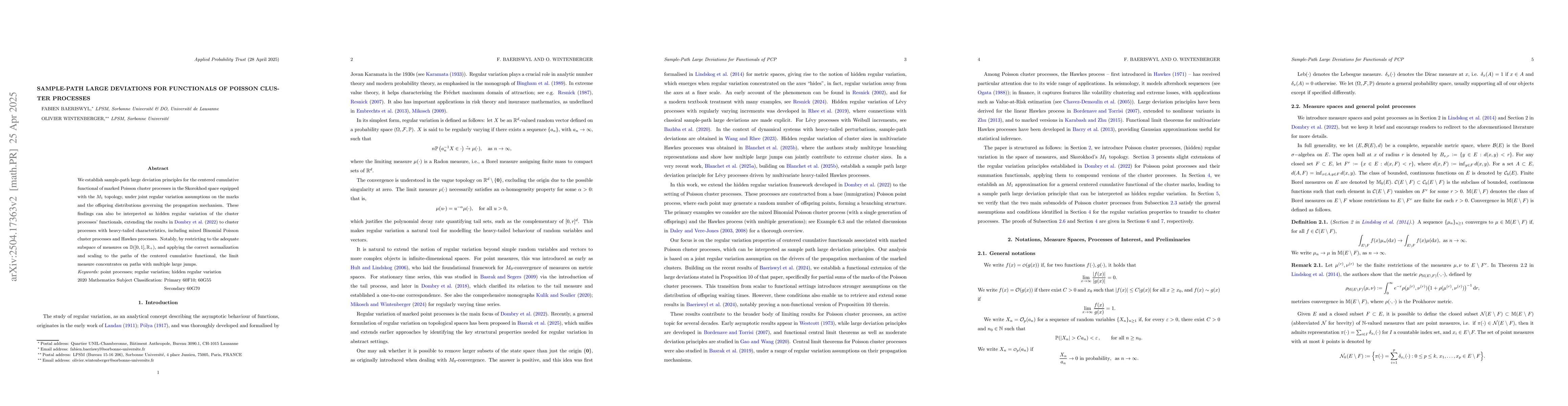 Thumbnail for Sample-Path Large Deviations for Functionals of Poisson Cluster
  Processes