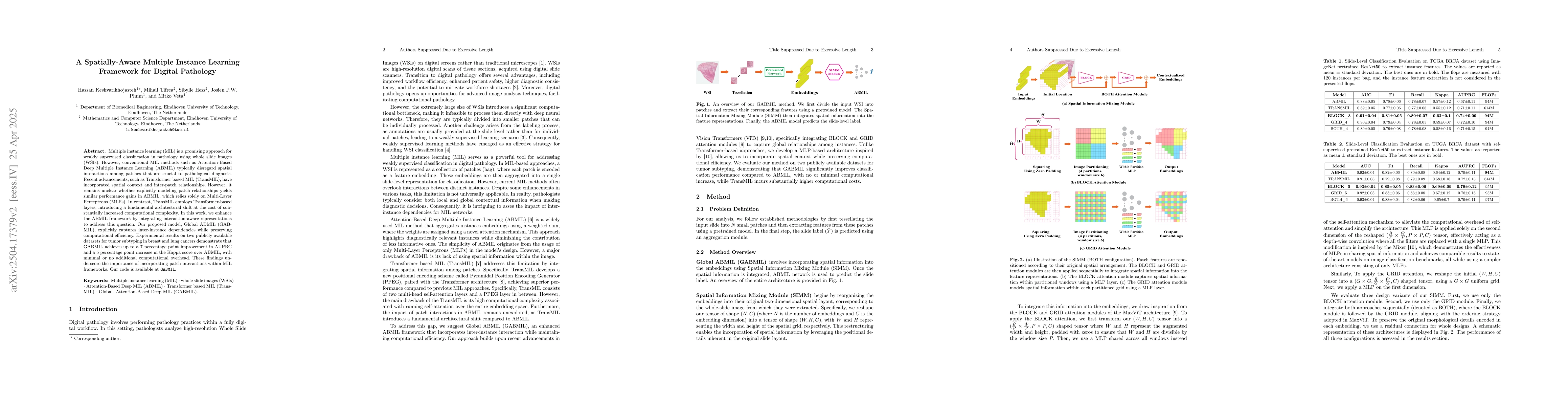 Thumbnail for A Spatially-Aware Multiple Instance Learning Framework for Digital
  Pathology