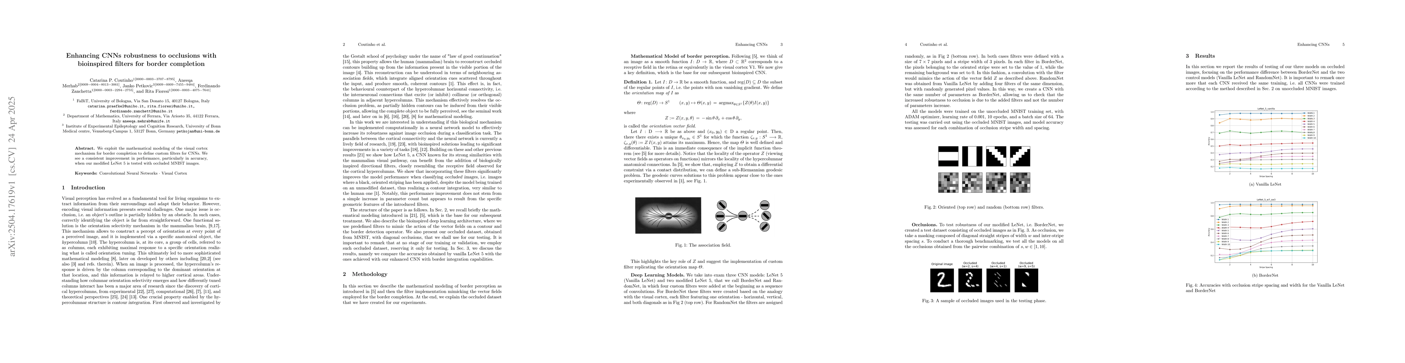 Thumbnail for Enhancing CNNs robustness to occlusions with bioinspired filters for
  border completion