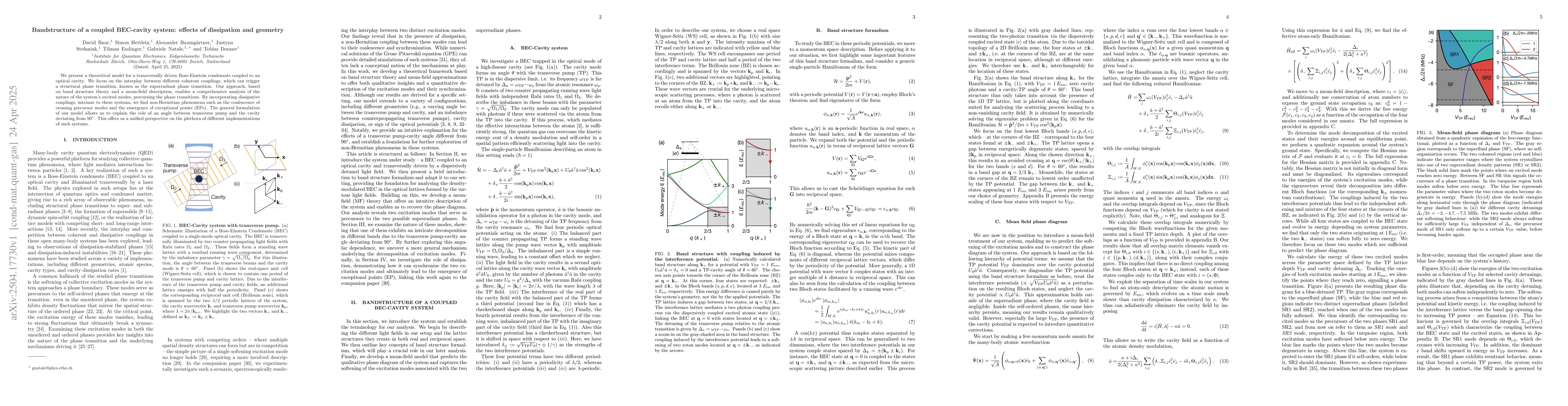 Thumbnail for Bandstructure of a coupled BEC-cavity system: effects of dissipation and
  geometry