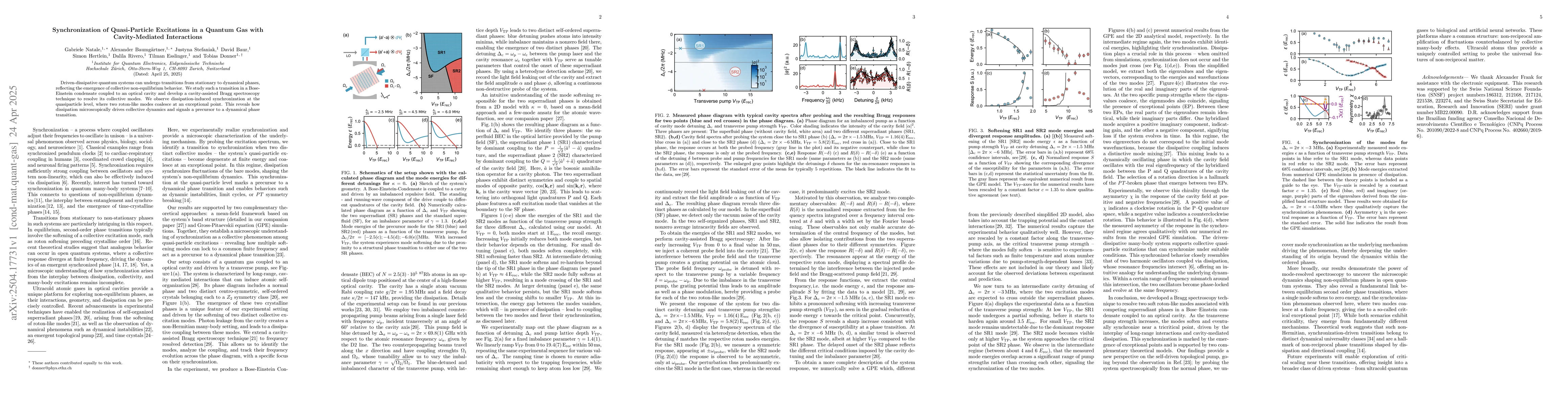 Thumbnail for Synchronization of Quasi-Particle Excitations in a Quantum Gas with
  Cavity-Mediated Interactions