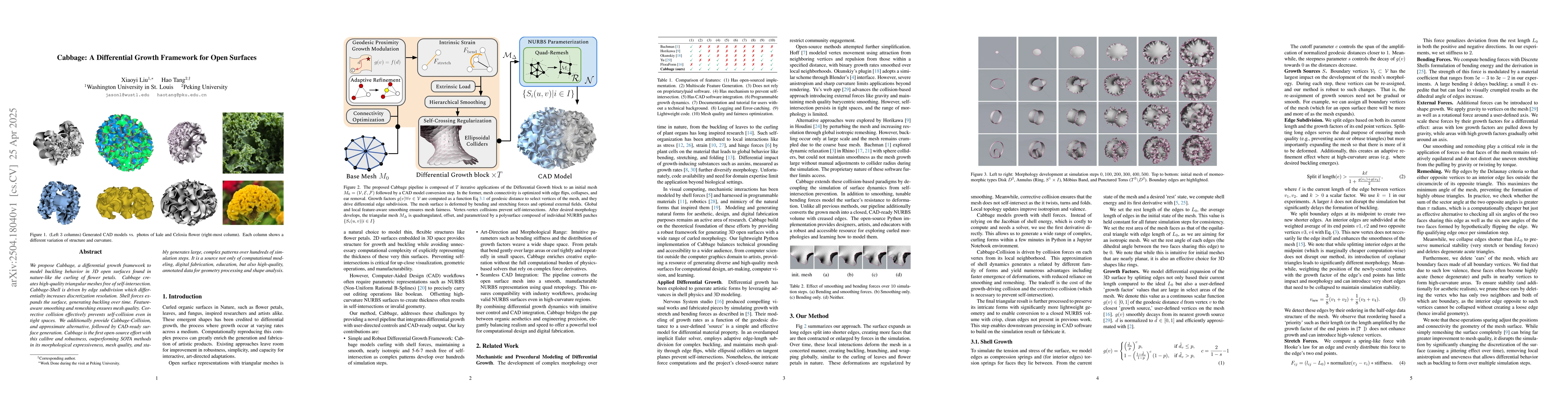 Thumbnail for Cabbage: A Differential Growth Framework for Open Surfaces
