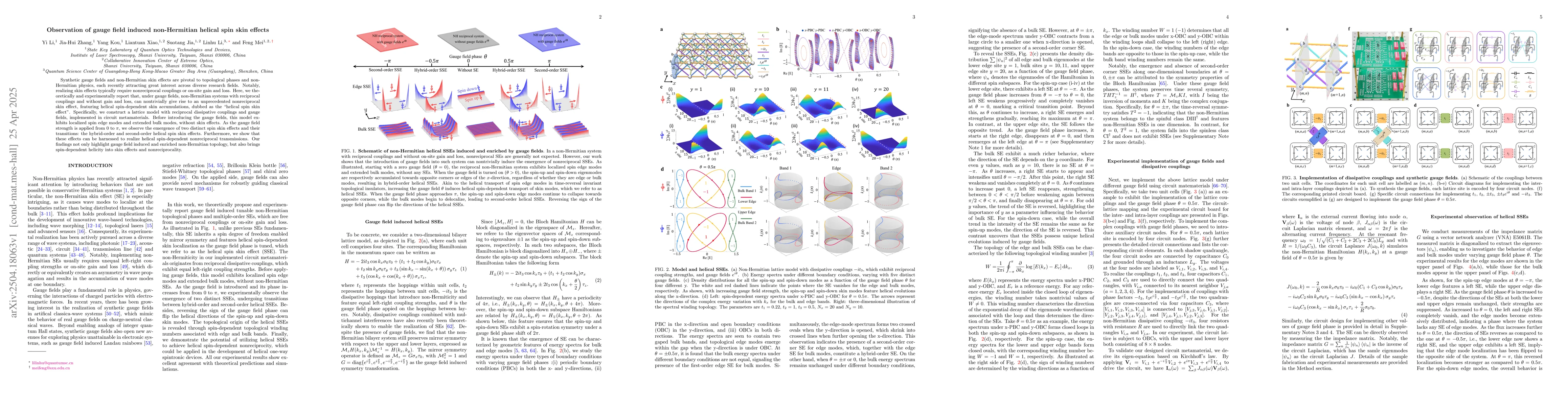 Thumbnail for Observation of gauge field induced non-Hermitian helical spin skin
  effects